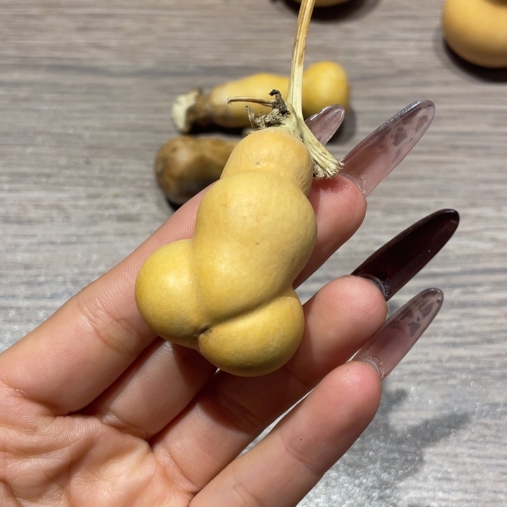 小***花葫芦葫芦葫芦葫芦