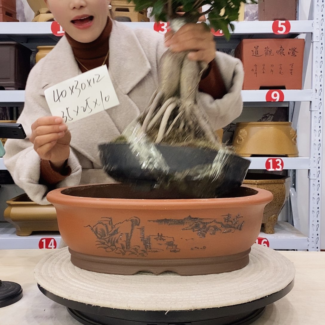 紫砂花盆紫砂花盆