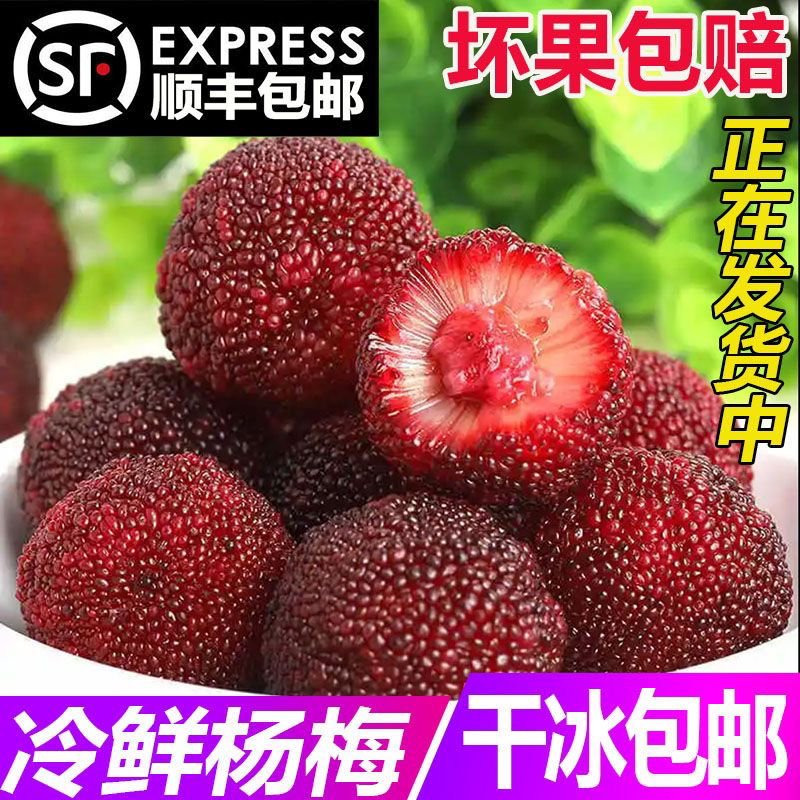 贵州冰杨梅新鲜速冻杨梅泡酒冰镇杨梅零食新鲜杨梅冻杨梅