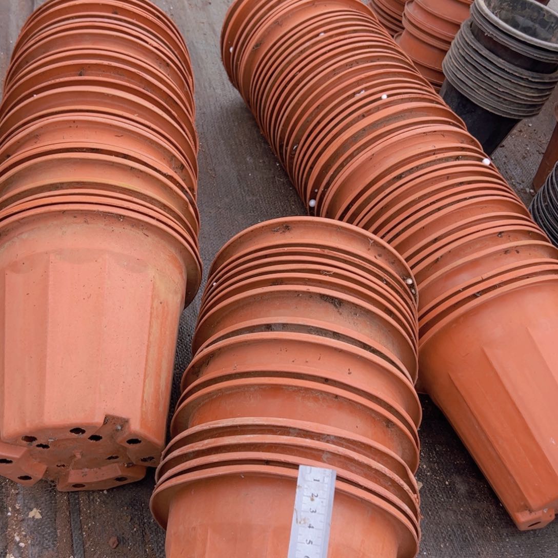 塑料红砖22口径20高 10个