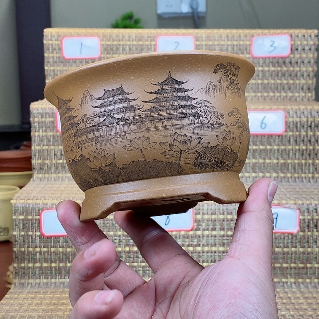 紫砂花盆我在等一