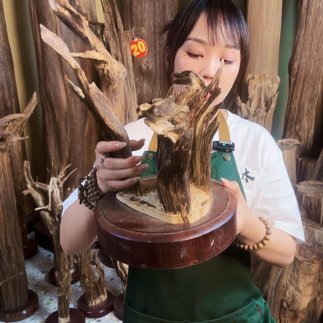 摆件沉香天然沉香原木原材料摆件