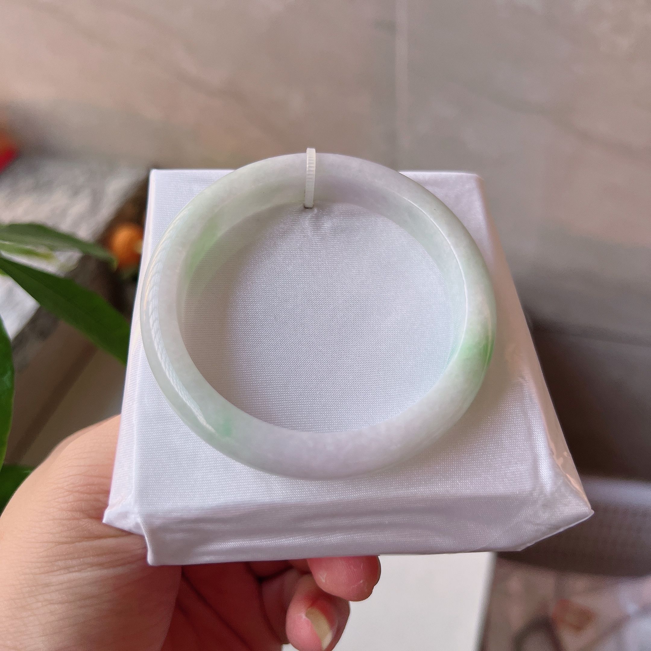 手机实拍0色差缅甸翡翠A货老坑天然糯种56圈白底青飘阳绿正圈手镯