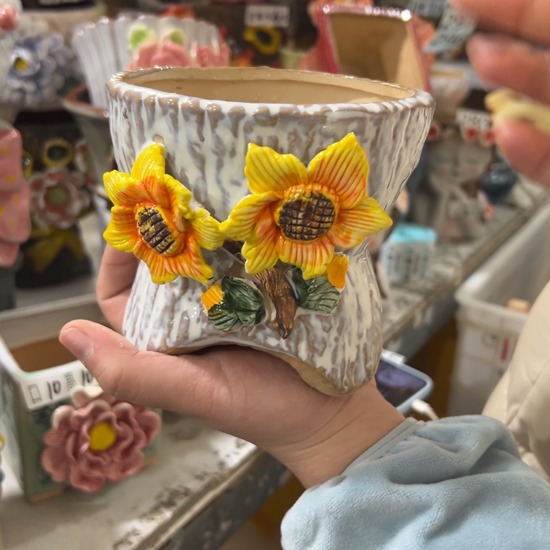 花盆，拍满20发货，退款拉黑