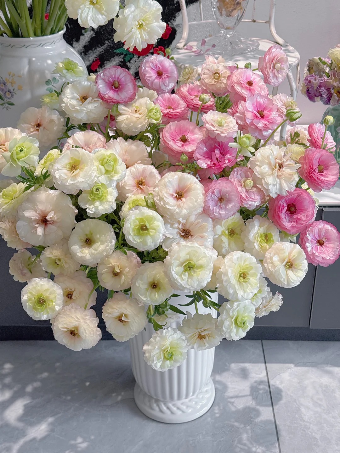 【蝴蝶洋牡丹】 鲜花水培亮色家居装饰云南鲜切花一单顺丰包邮