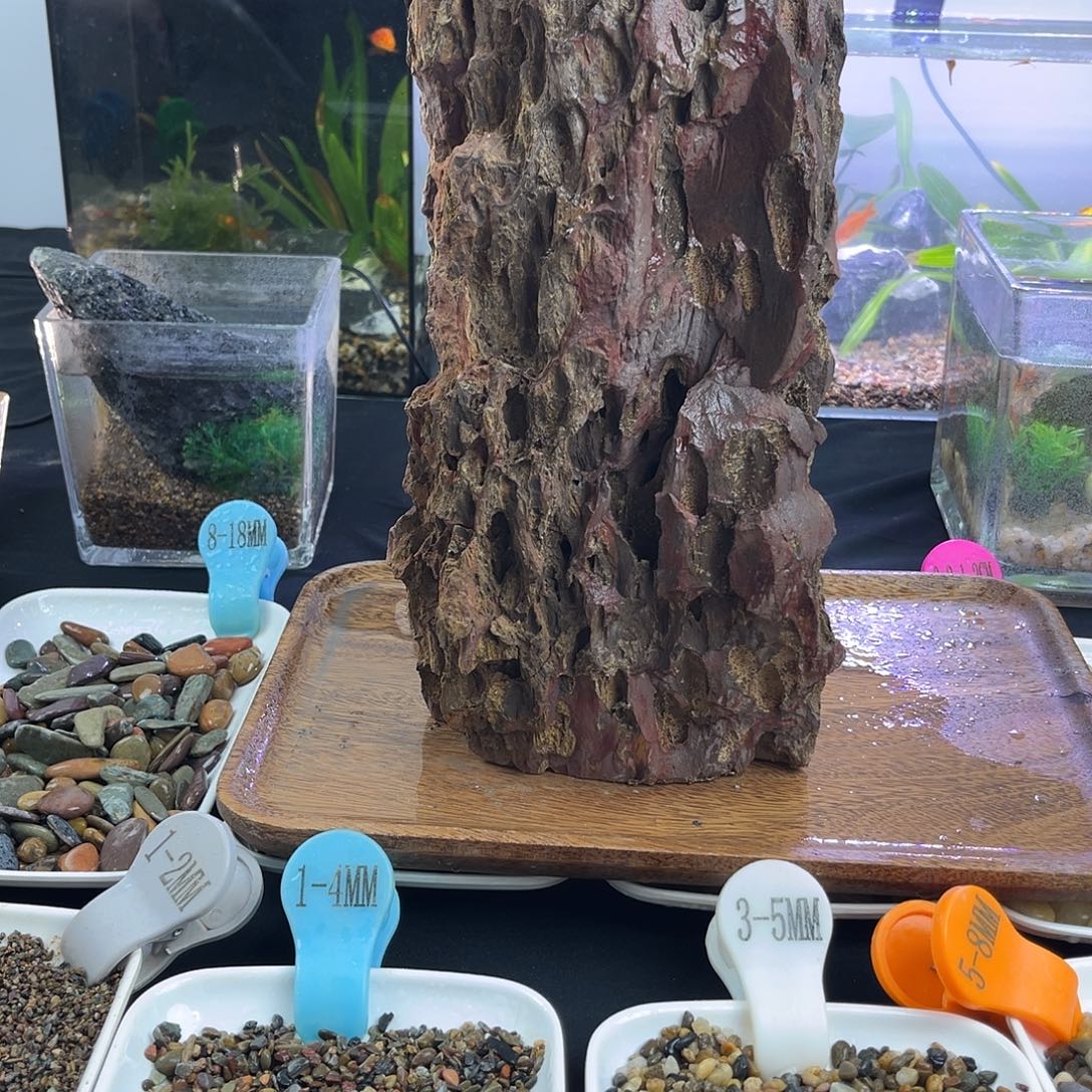 纯天然的松皮石1个