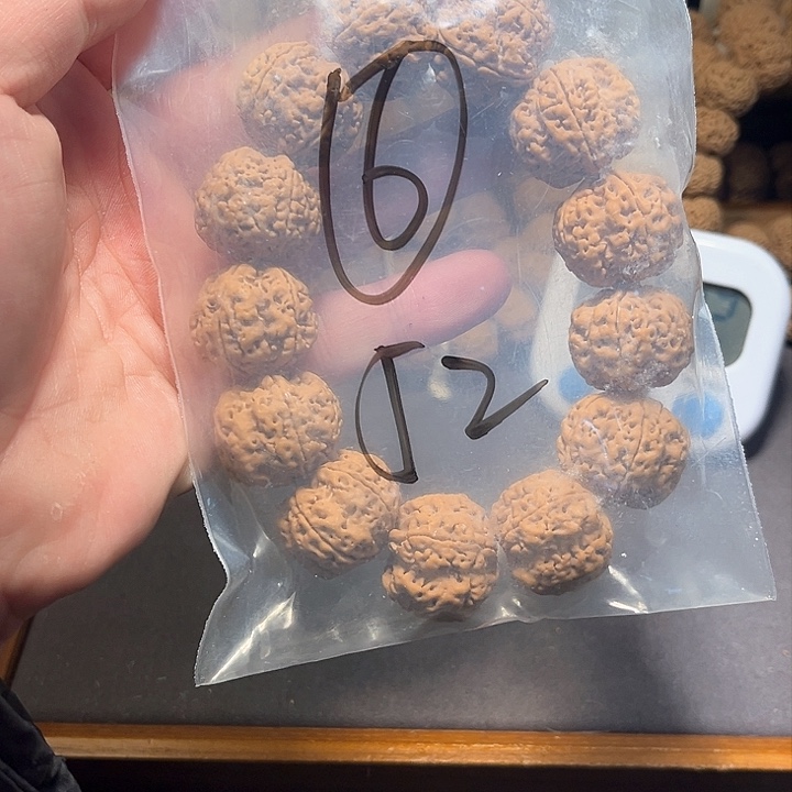 金刚菩提吊坠鑫*6;;;;;;;;;