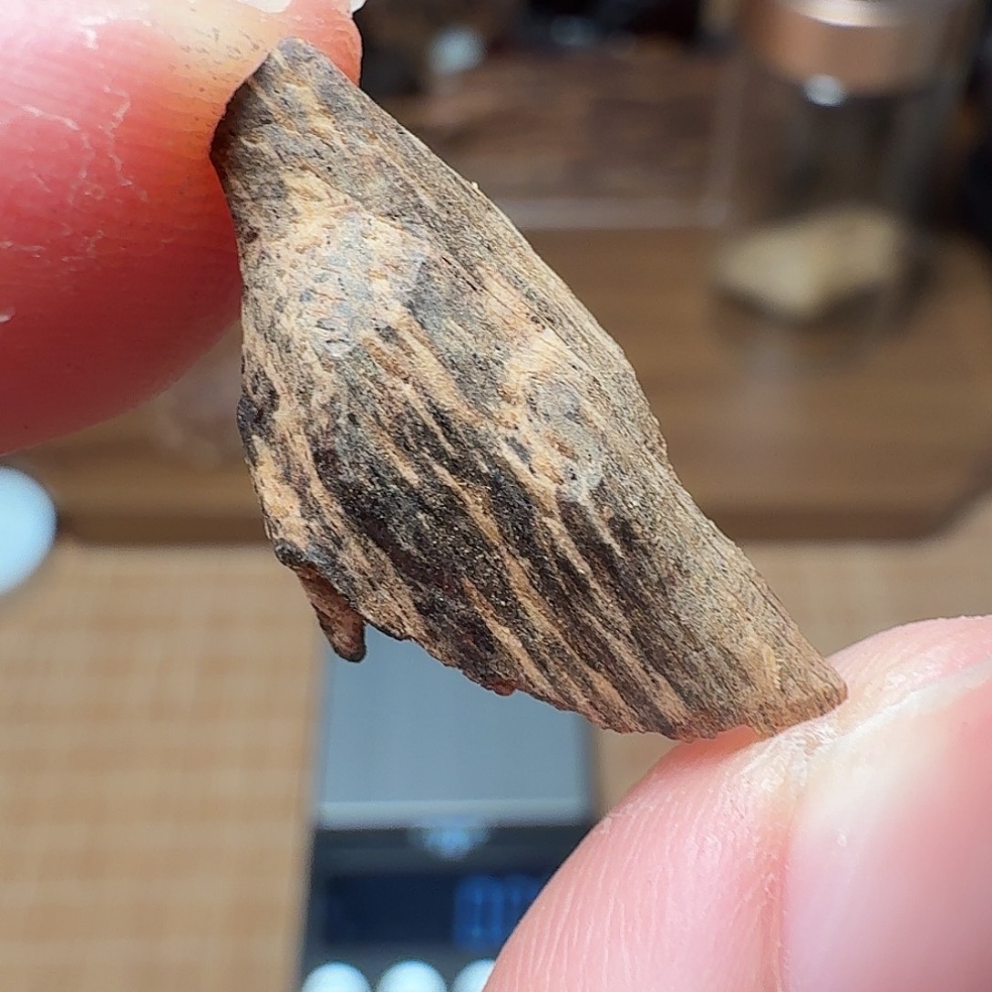 沉香海南熟结老料