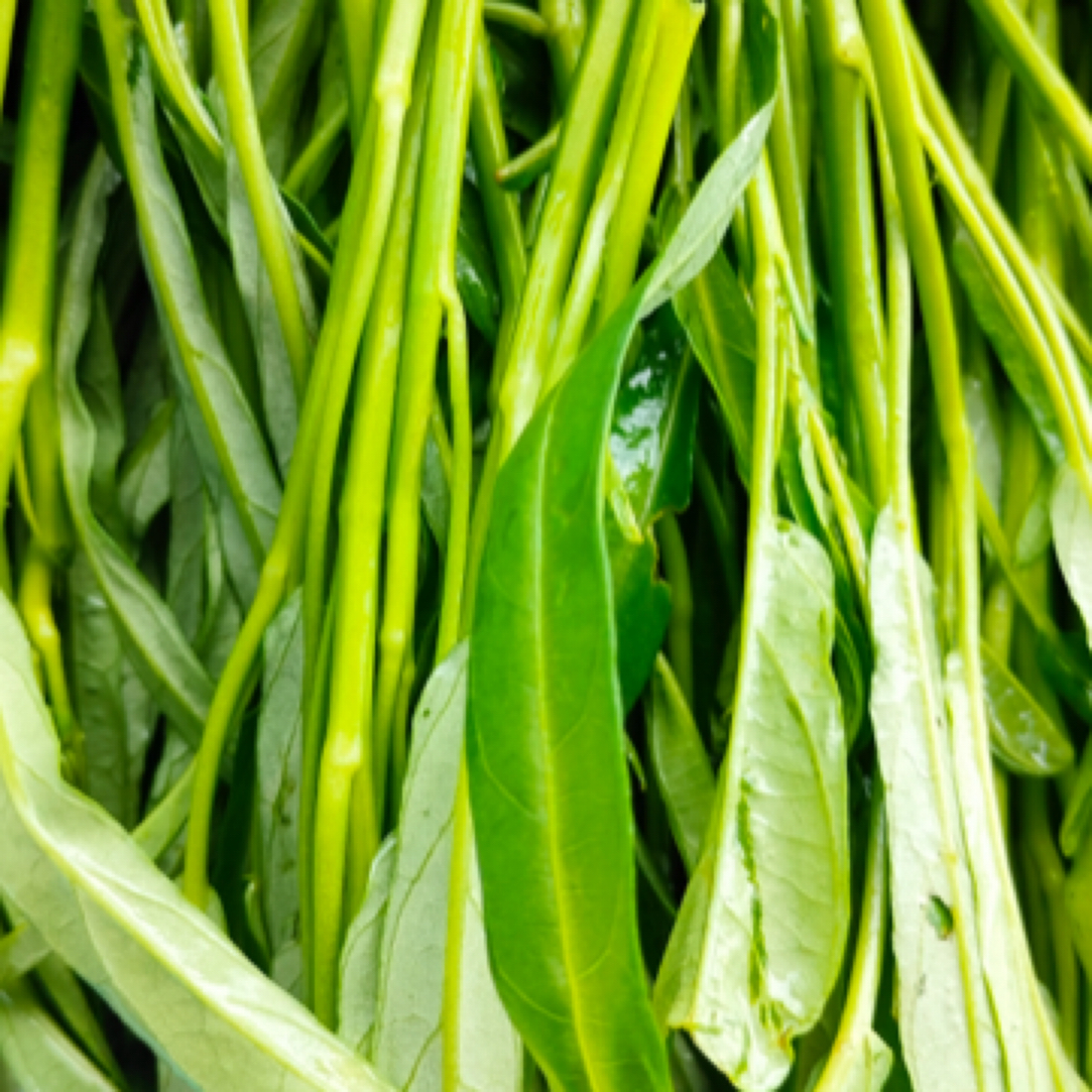 炒空心菜（最新尝鲜）g