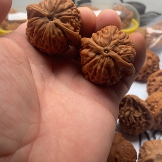 3.9莲花虎头一对3