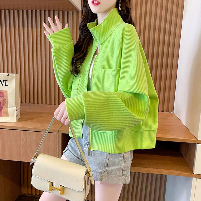 时尚精品服饰（扣号商品非主图）
