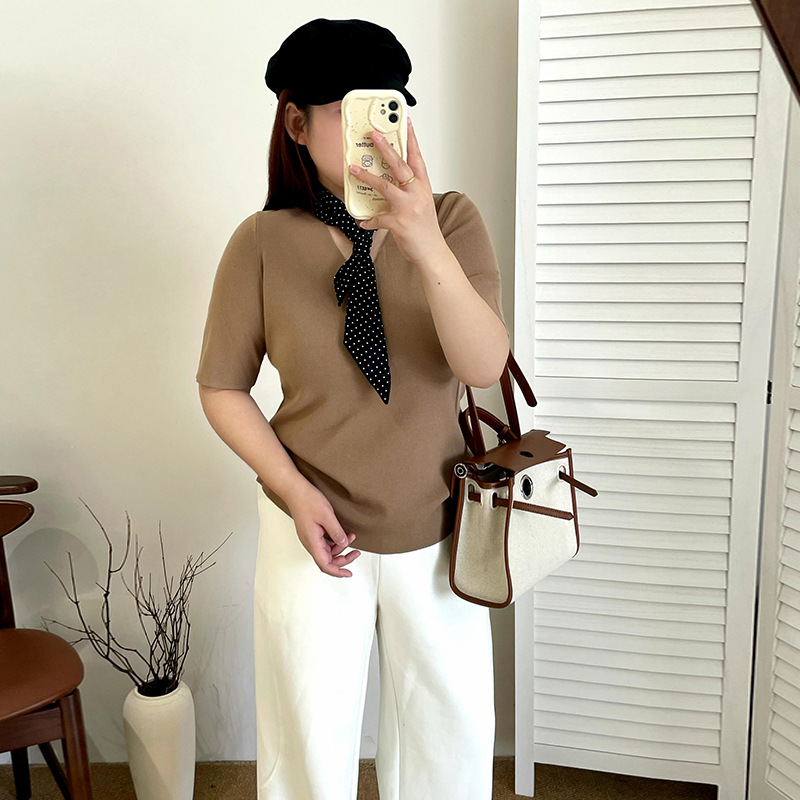 【涵胖胖】清*基础纯色v领上衣2025秋款胖mm宽松短袖针织衫女23551