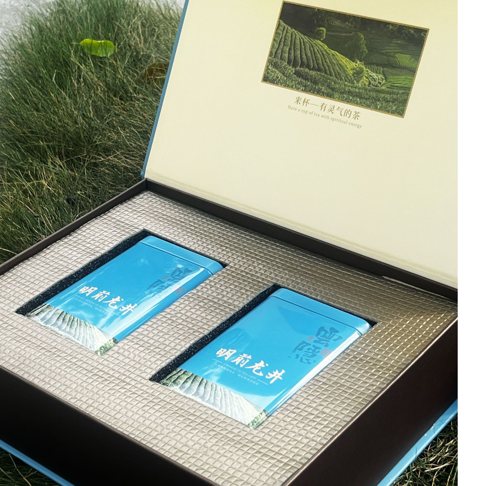 2025明前龙井礼盒空盒半斤装250g