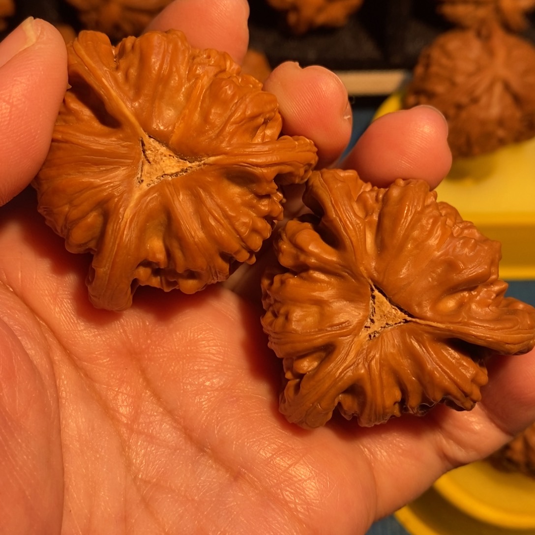 高***学吊坠文玩核桃白狮子