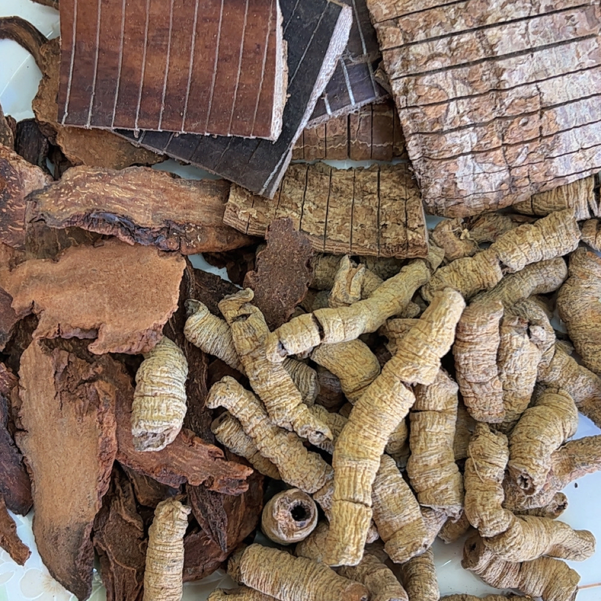 正宗巴戟杜仲锁阳组合套装特产天然干货可煲汤煮水泡茶滋补中药材