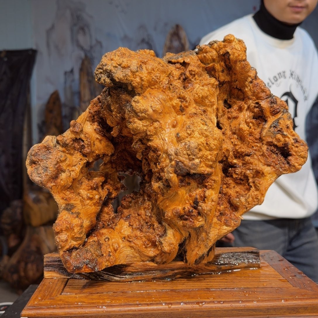 鹰***9木三丰琥珀木 天然摆件93