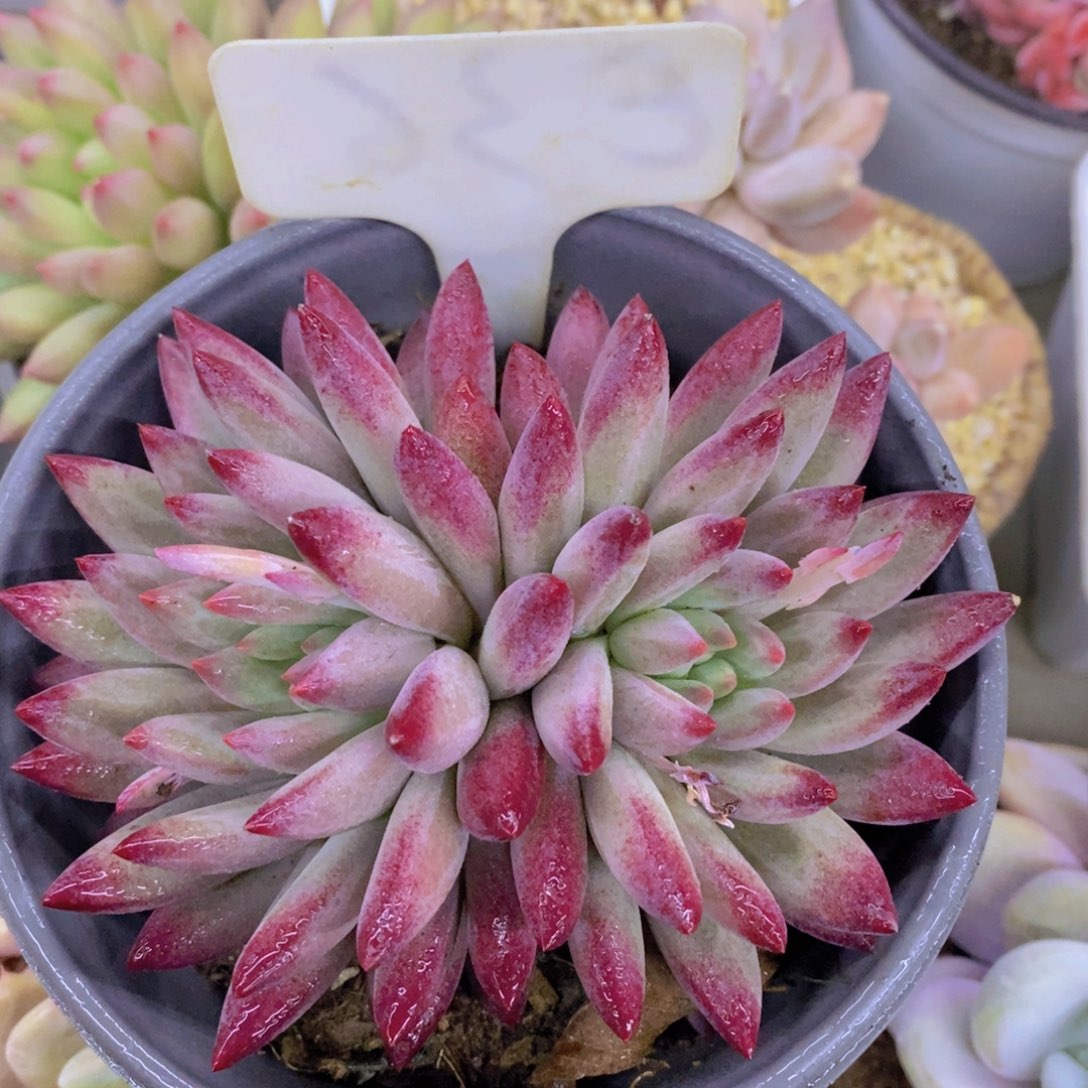 清货转场，一物一拍，看准