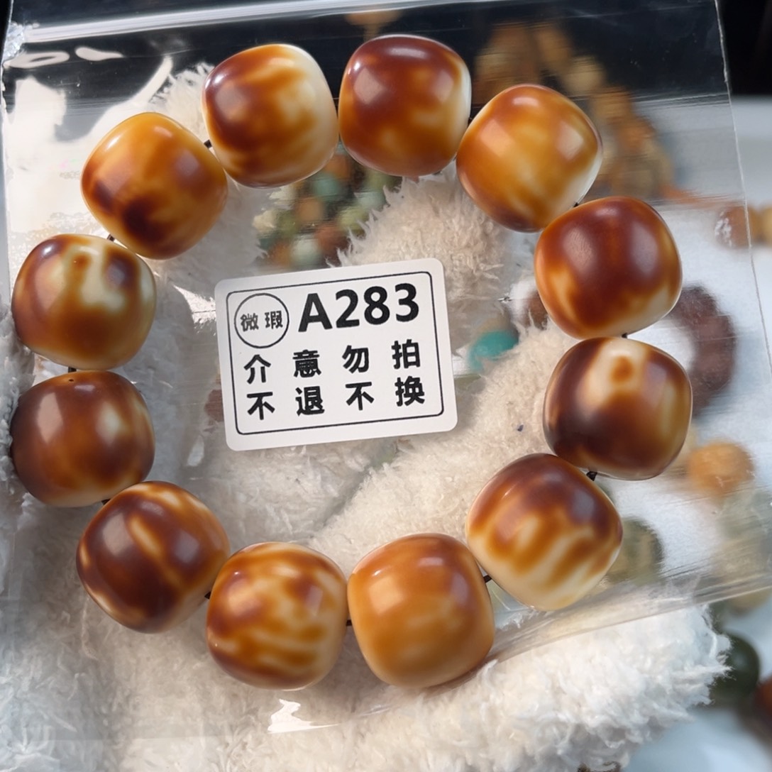 菩提根/象牙果吊坠璐****)微单圈