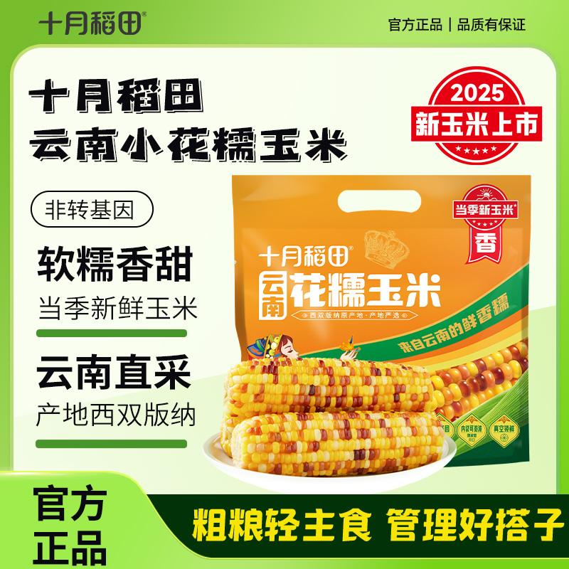 【版纳直采】当季新玉米十月稻田云南西双版纳小花糯玉米棒宝宝粗粮