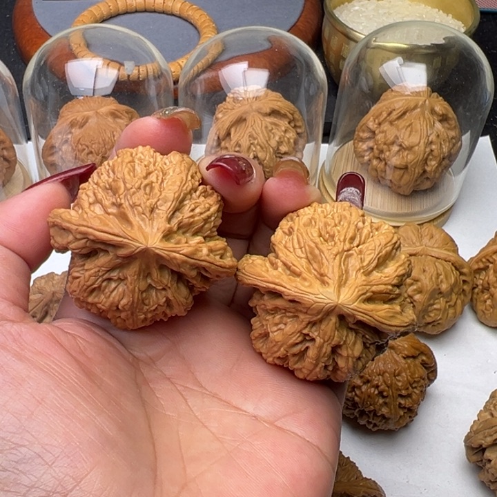 文玩核桃把件芳芳44粗筋