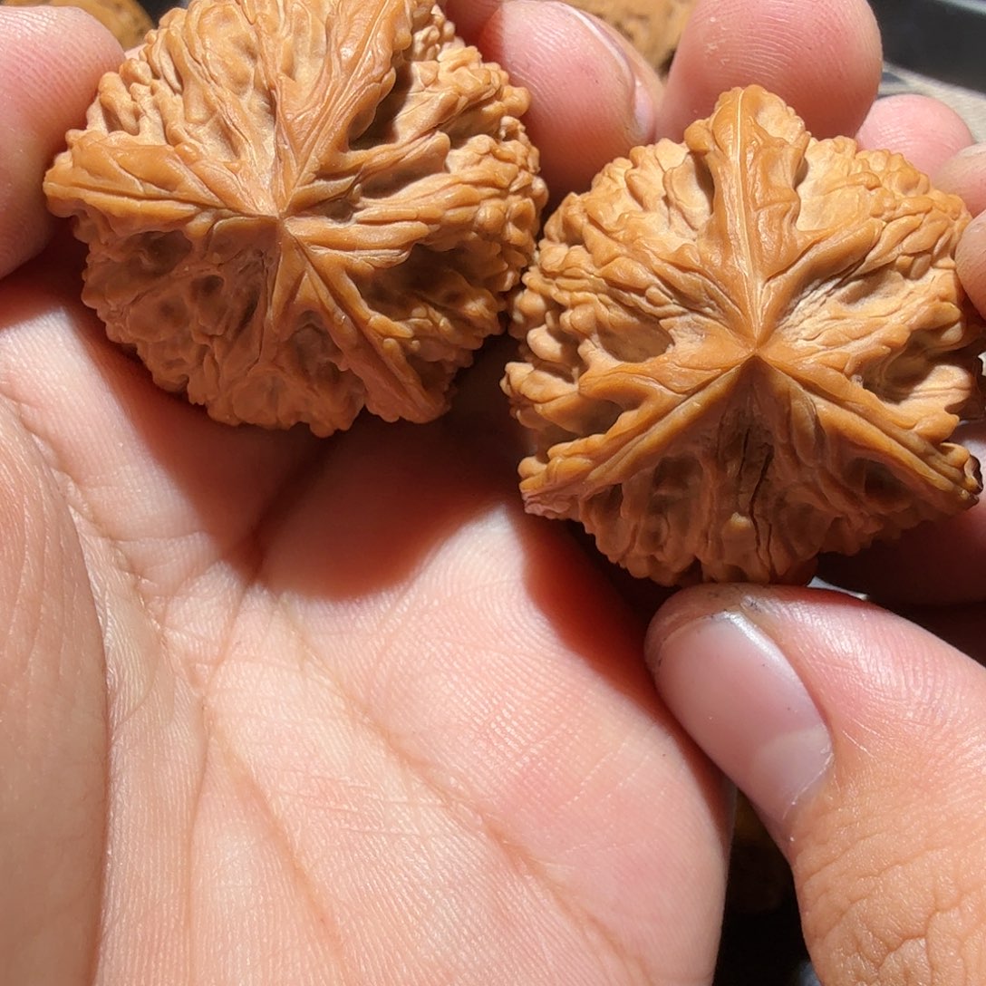 文玩核桃把件-*發御龙