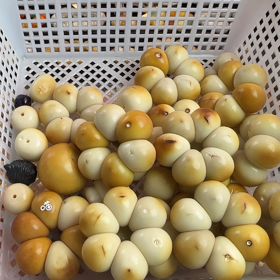 菩提根/象牙果吊坠瑕疵炭烤蒜瓣手捻2个