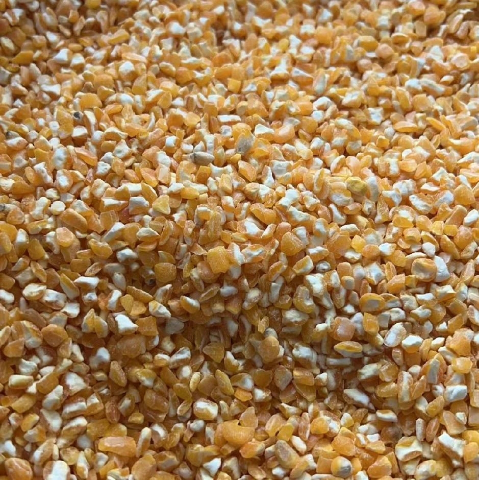 优质玉米碴20斤（样品）