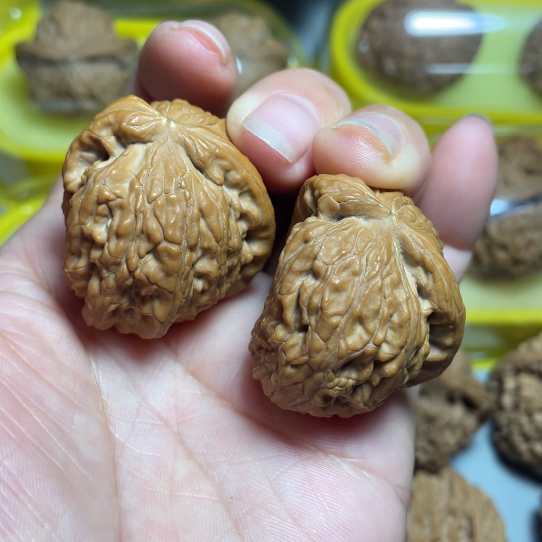 核桃手串/手链精品白狮子半壁异形