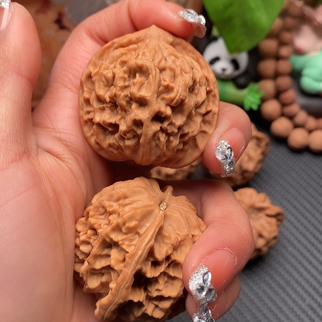 飛***雲核桃秦岭野生果官帽