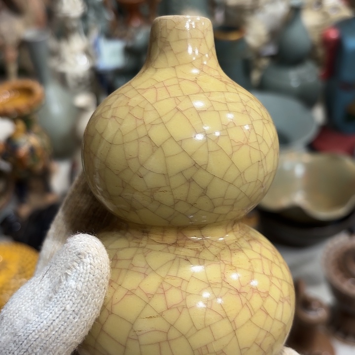 王***理瓷片瓷器瓷器58888888