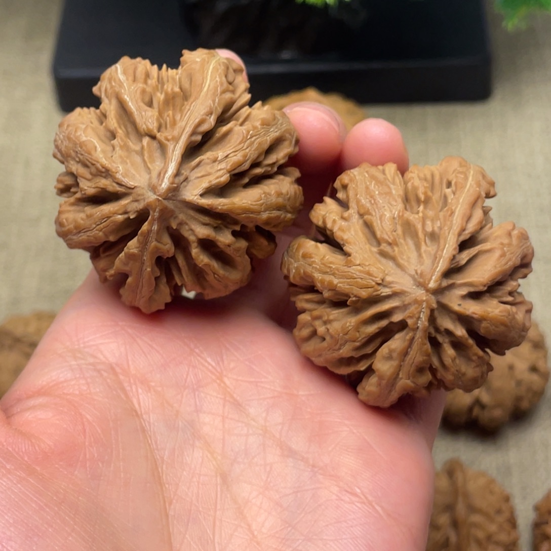 在***…把件文玩核桃秦岭核桃37号