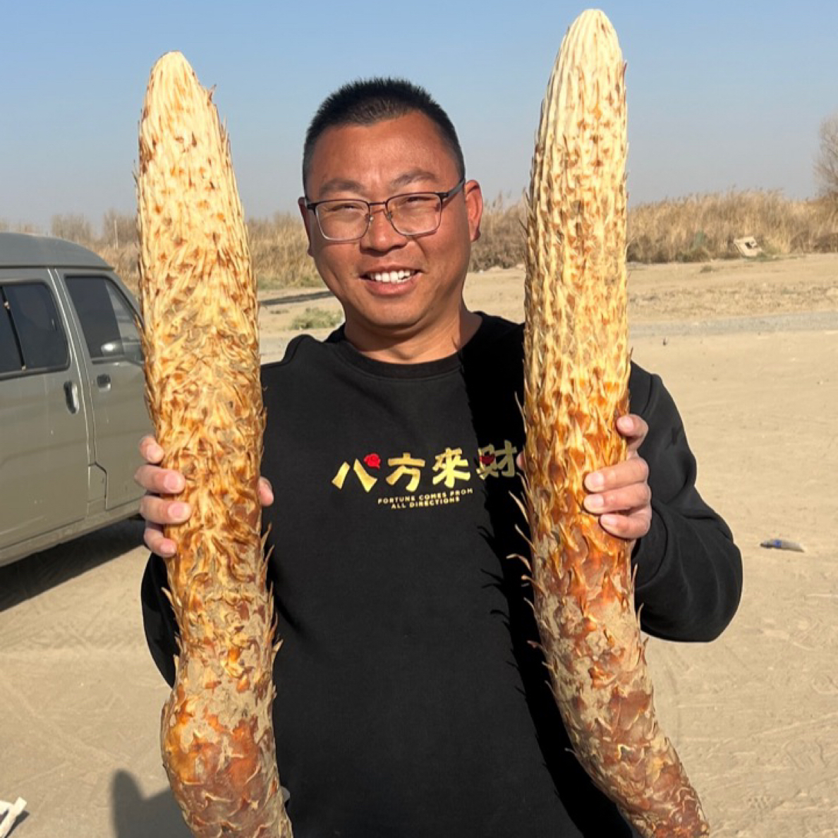 （新鲜肉苁蓉）管花肉苁蓉/产地直发可泡酒泡茶煲汤