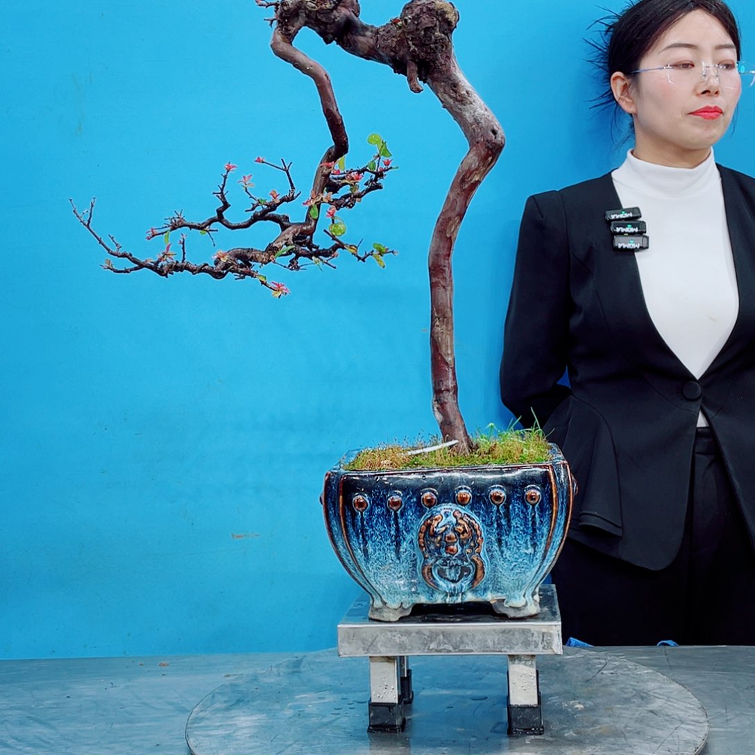 无铅玻璃岭南文化艺术中心