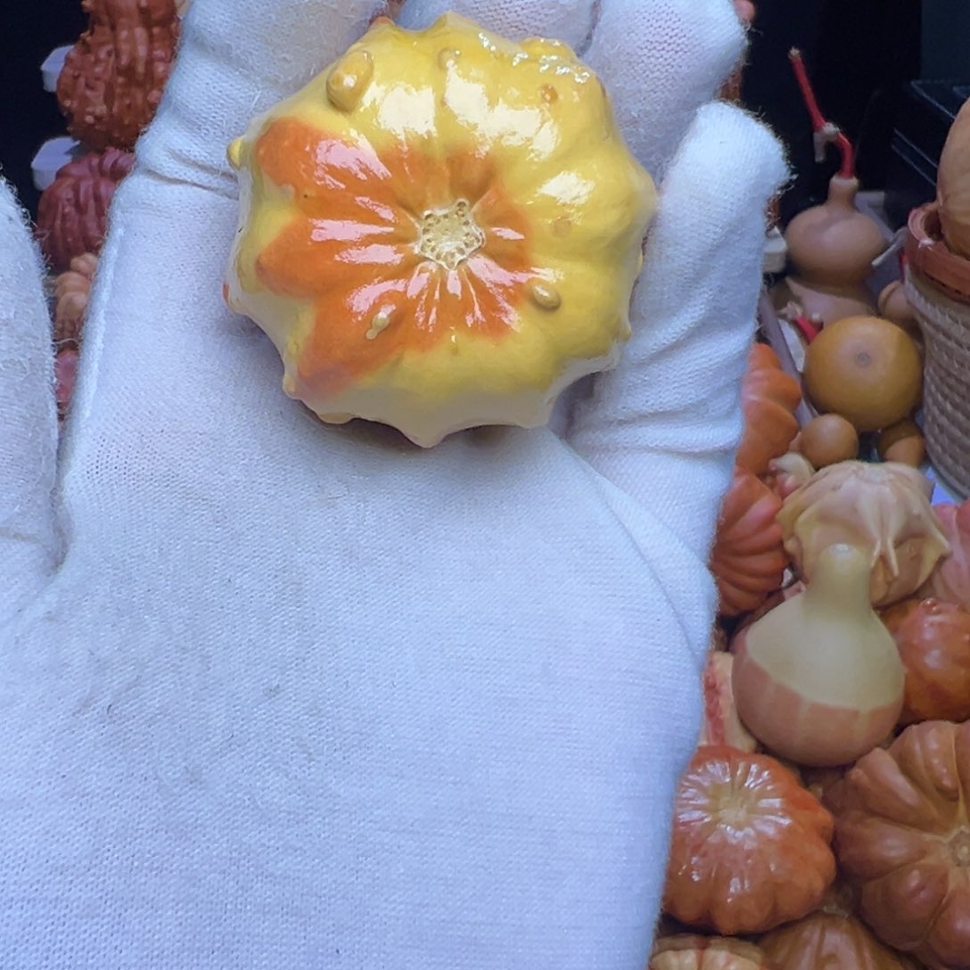 墨西哥葫芦疙瘩有点阴皮