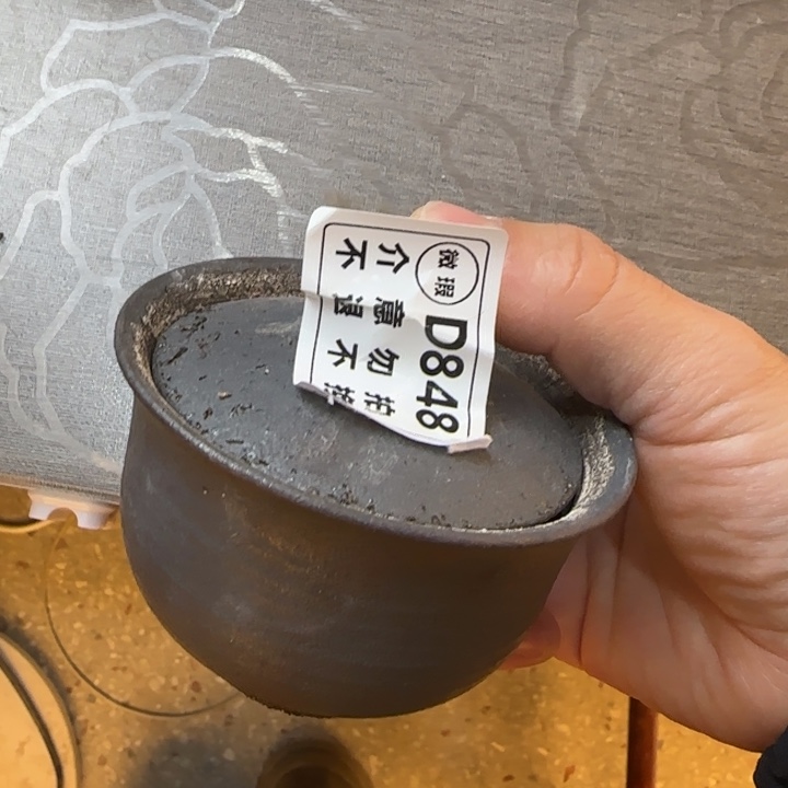 粗砂茶壶柴烧福利新品多多