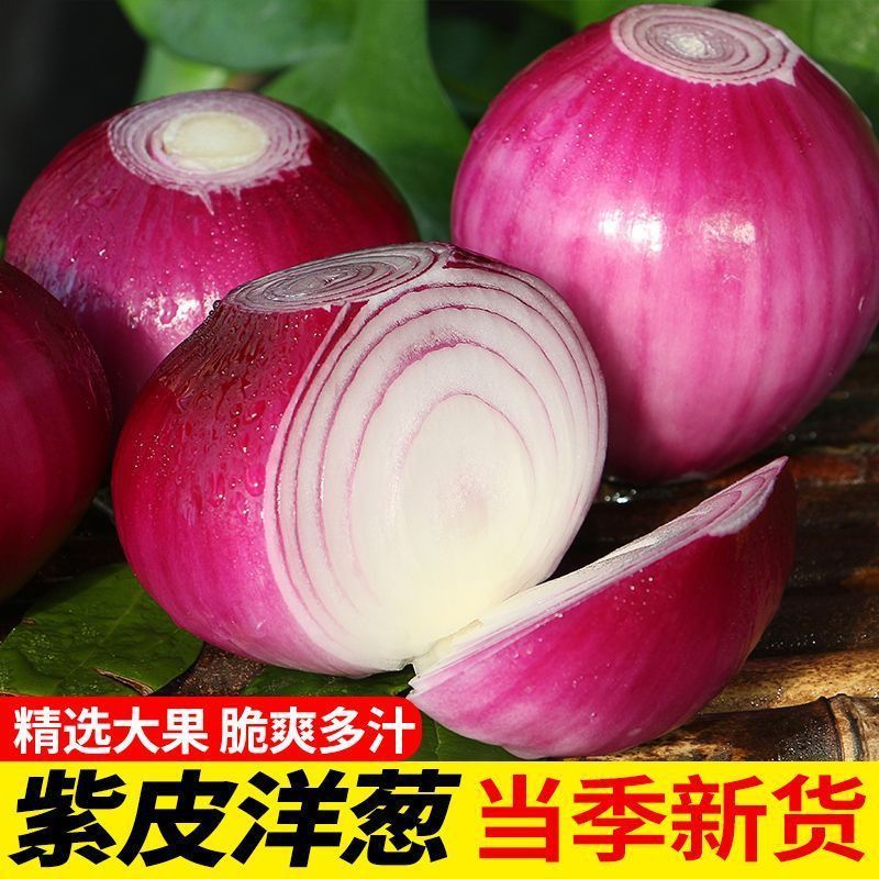 郝爷2025年水果洋葱新鲜现挖紫皮洋葱炒菜凉拌时令蔬菜产地直发