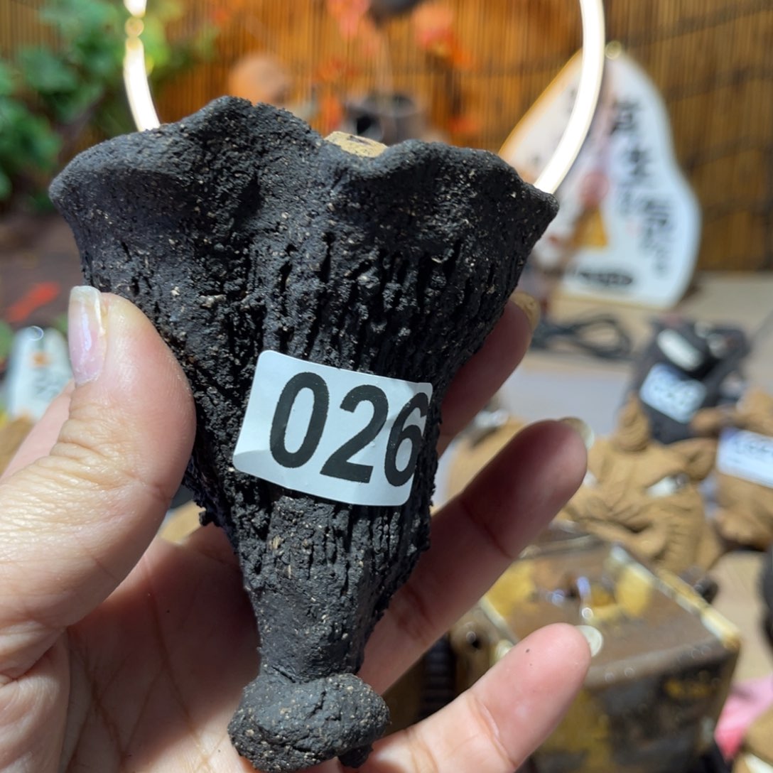 木村信弘柴烧保平