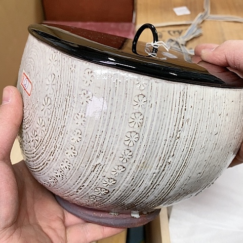 紫砂哈哈哈哈哈哈哈哈