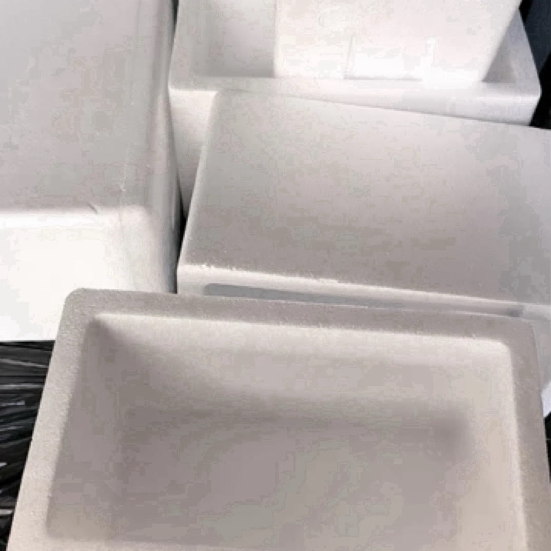 下单必拍15包装运费活体金鱼