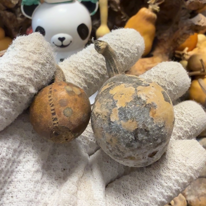 ****姐766766677778888888