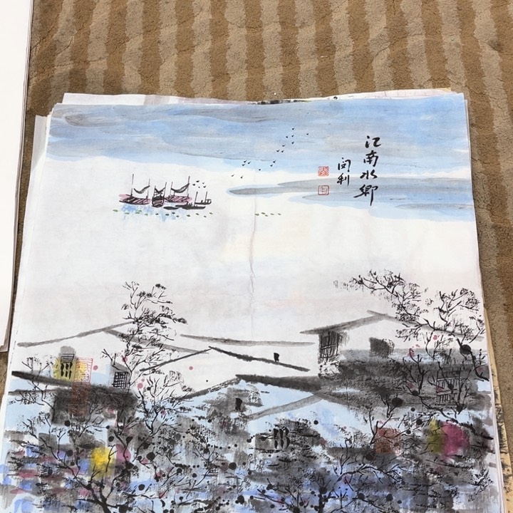 国画花鸟的翅膀和翅膀都是白色40.40