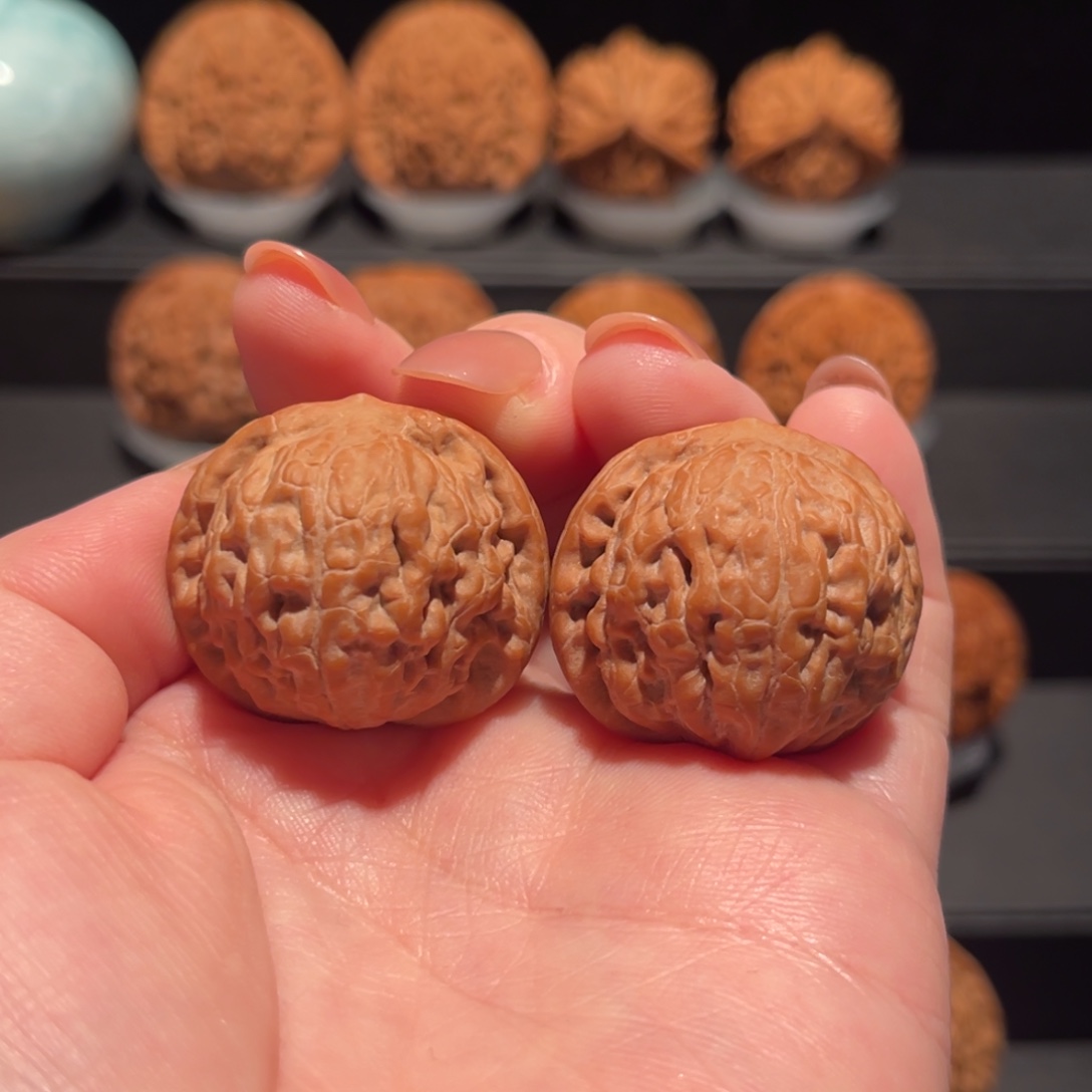 野生，小莲花31精品，全品494