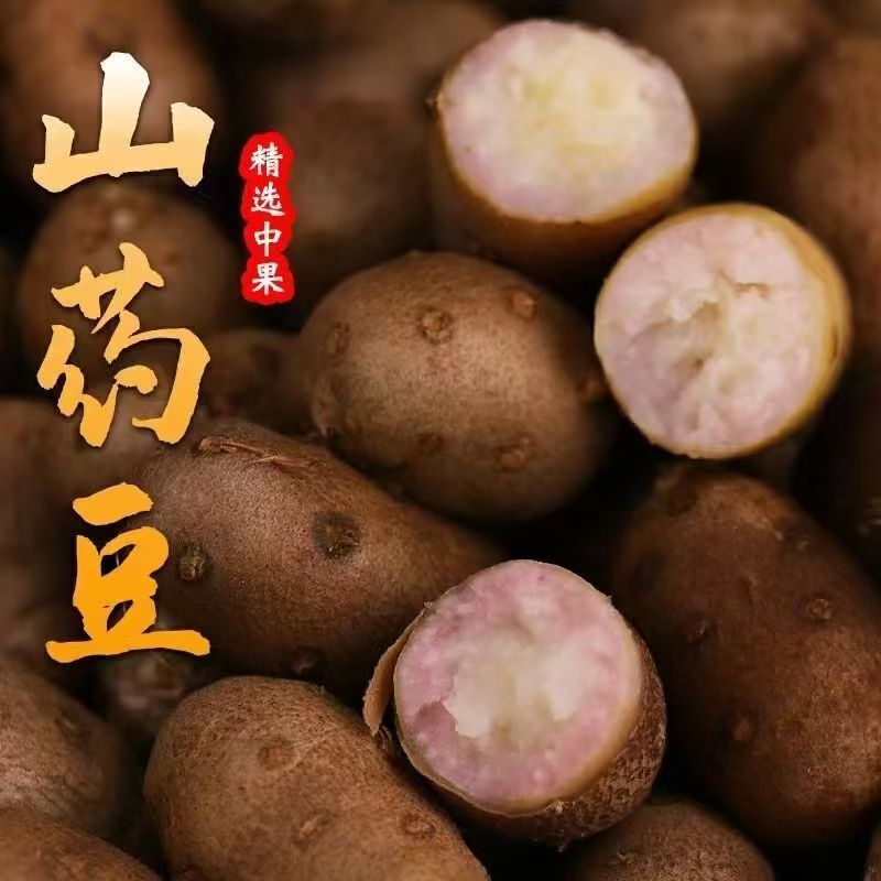 农家当季麻山药豆铁棍垆土香甜粉糯熬粥辅食有机大果小白嘴山药豆