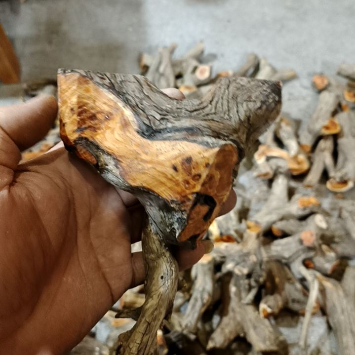 血***狼香榧木崖柏随行毛料毛料毛料