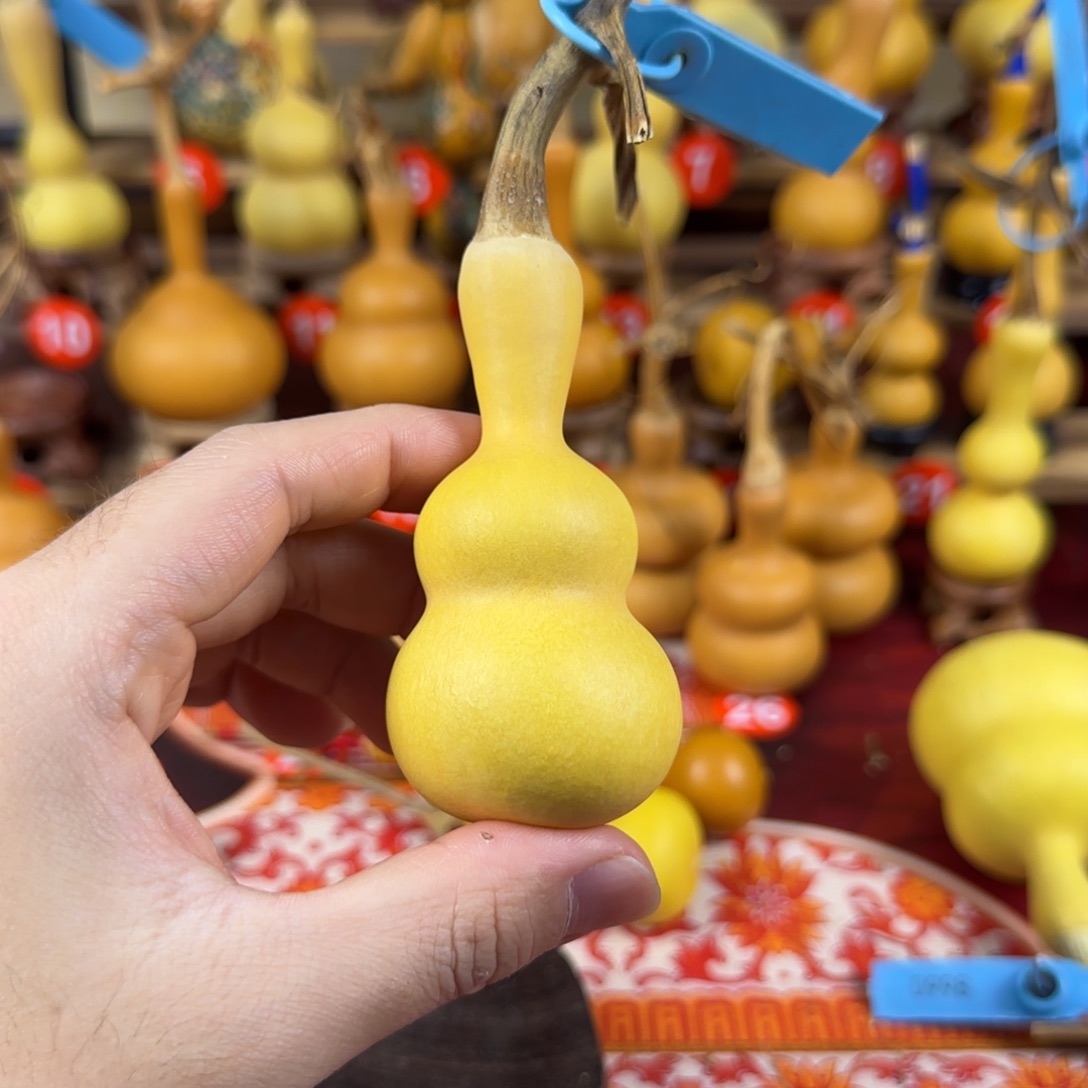 一****葫芦vuvuvvuuvvujvvibi