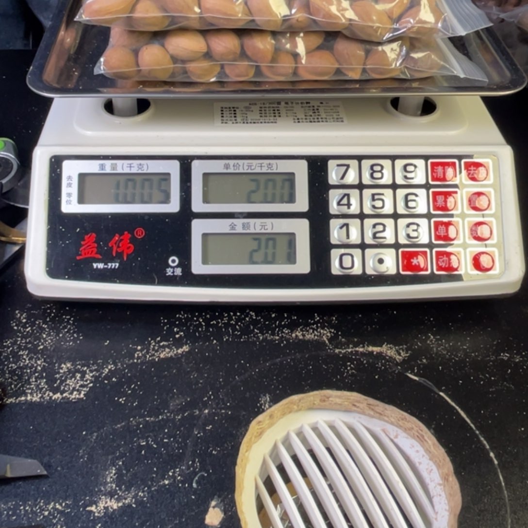 吊坠橄榄核听***?