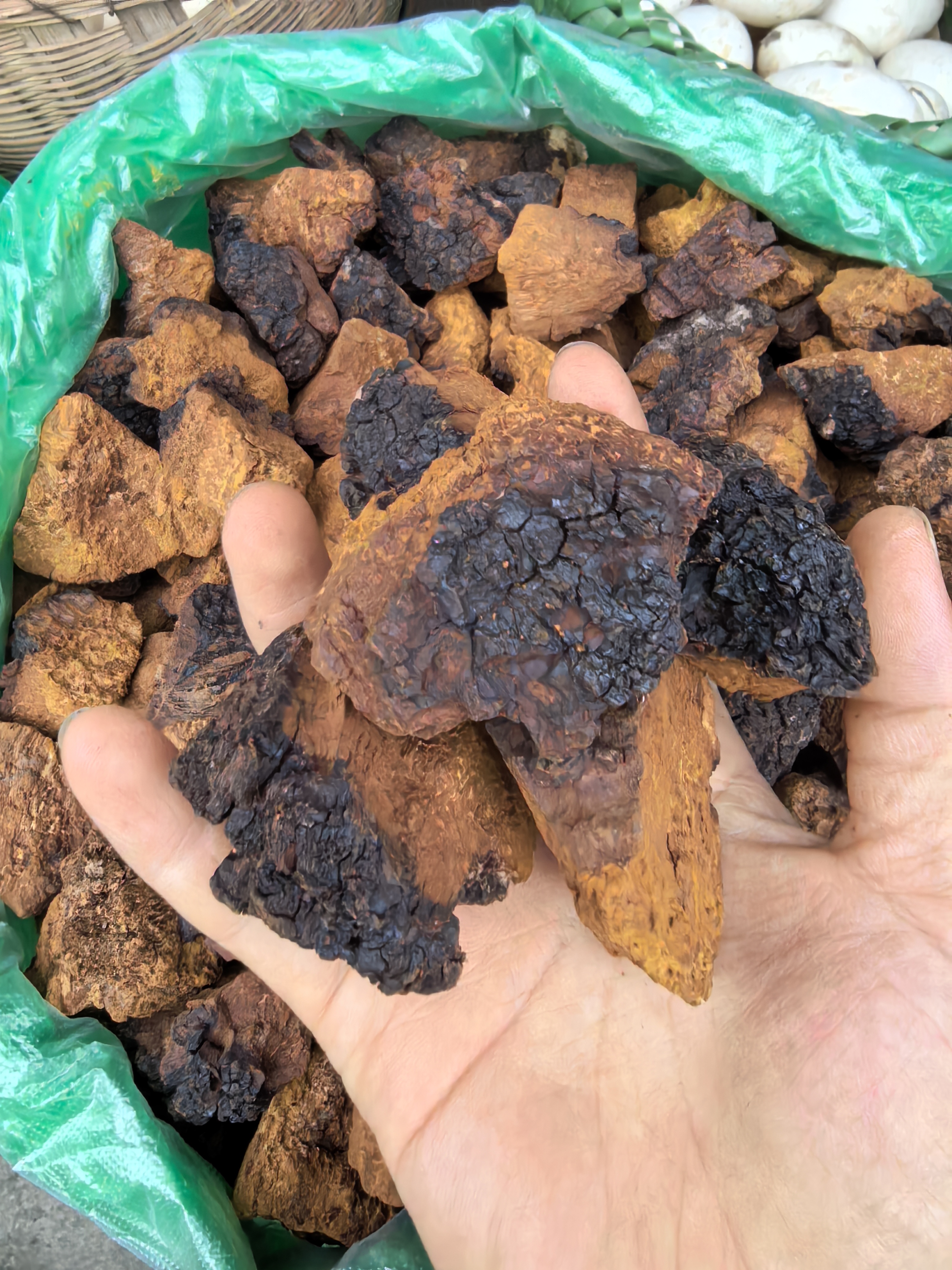 野生桦树茸东北桦树茸新货（甄选＋）东北桦褐孔菌  桦树茸250克