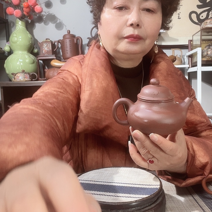 底槽青茶壶5*0原矿紫砂壶