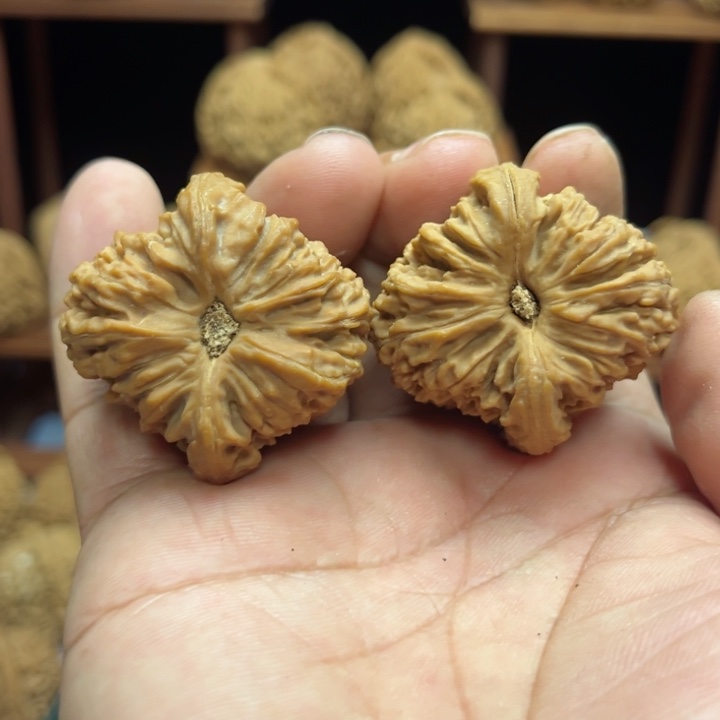 完全开放海****8南疆石