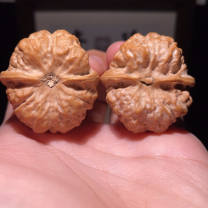 瓜***撒核桃手串/手链蛤蟆头 